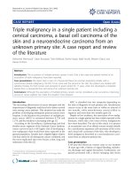 báo cáo khoa học: 