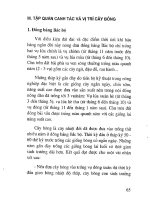 Kỹ thuật trồng bông vải ở Việt Nam part 5 ppsx