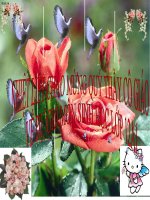 Giáo án điện tử môn sinh học: Sinh học lớp 12- Tạo giống bằng phương pháp gây đột biến và công nghệ tế bào ppsx