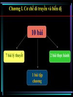 Giáo án điện tử sinh học:Sinh học lớp 12- Bài giảng sinh học 12 phần 3 ppsx