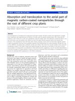 báo cáo khoa học: 