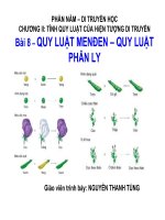 Giáo án điện tử sinh học:Sinh học lớp 12- Quy luật phân li độc lập -Sinh học 12- Cơ bản pot