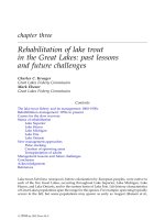 Lake Trout Ecosystems in a Changing Environment - Chapter 3 doc