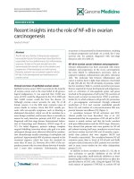 báo cáo khoa học: 