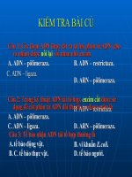 Giáo án điện tử môn sinh học: Sinh học lớp 12- Di truyền y học(Cơ bảng) ppt