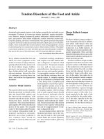 Rối loạn dây chằng của chân và mắt cá doc