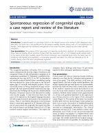 báo cáo khoa học: 