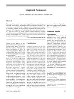 Điều trị gãy xương doc