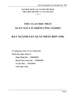 TIỂU LUẬN HỌC PHẦN NGĂN NGỪA Ô NHIỄM CÔNG NGHIỆP BAT NGÀNH SẢN XUẤT PHÂN BÓN NPK