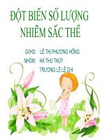 Giáo án điện tử môn sinh học: Sinh học lớp 12- Bài giảng đột biến số lượng nhiễm sắc thể ppt