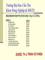 Giáo án điện tử sinh học: Sinh học 12-Vi sinh đại dương pps