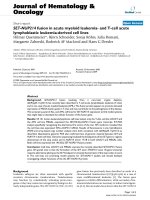 báo cáo khoa học: 