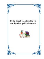 Đề tài hoạch toán tiêu thụ và xác định kết quả kinh doanh doc