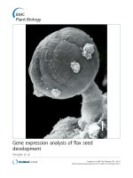 báo cáo khoa học: 