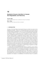 Enzymes in the Environment: Activity, Ecology and Applications - Chapter 16 pptx