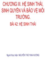 Giáo án điện tử sinh học:Sinh học lớp 12- Nguồn gốc chung và chiều hướng tiến hoá của sinh giới ppsx