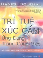 Trí tuệ xúc cảm ứng dụng trong công việc part 1 pps