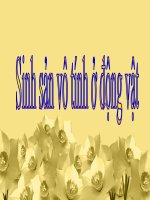 Giáo án điện tử sinh học: Sinh học 12-Sinh sản vô tính ở động vật ppsx