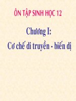 Giáo án điện tử sinh học: Sinh học 12- Trắc nghiệm chương 1 chương trình chẩn pdf