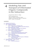 Contaminated Ground Water and Sediment - Chapter 4 potx