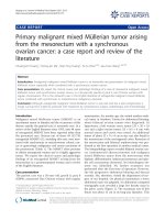 báo cáo khoa học: 