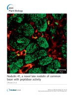 báo cáo khoa học: 