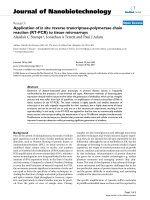 báo cáo khoa học: 