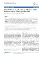 báo cáo khoa học: 