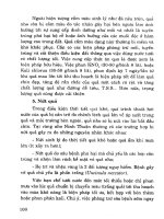 Kỹ thuật trồng nho part 8 doc