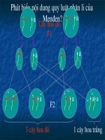 Giáo án điện tử môn sinh học: Sinh học lớp 12- Quy luật phân ly Nhiễm Sắc Thể Giới Tính ppsx