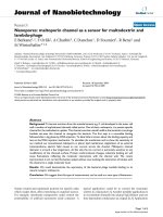 báo cáo khoa học: 