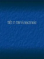 Giáo án điện tử sinh học: Sinh học 12- Tim và mạch máu pot