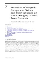 Geochemical and Hydrological Reactivity of Heavy Metals in Soils - Chapter 7 pptx