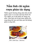 Nấm linh chi ngâm rượu phản tác dụng ppt