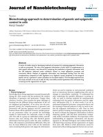 báo cáo khoa học: 