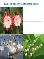 Giáo án điện tử môn sinh học: Sinh học lớp 12-LOÀI SINH HỌC VÀ CÁC CƠ CHẾ CÁCH LI potx