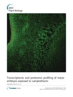 báo cáo khoa học: 