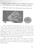 Sổ tay nghệ nhân cây cảnh part 7 pot