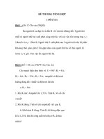 ĐỀ THI HSG TỔNG HỢP ( Đề số 13) ppt