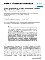 báo cáo khoa học: 