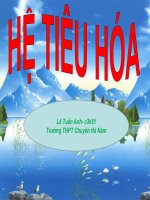 Giáo án điện tử sinh học: Sinh học 12- Hệ Tiêu Hóa doc