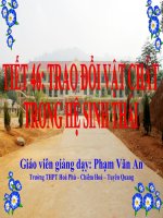 Giáo án điện tử sinh học: Sinh học 12-TRAO ĐỔI VẬT CHẤT TRONG QUẦN XÃ SINH VẬT pptx