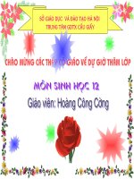 Giáo án điện tử sinh học:Sinh học lớp 12- Quần xã sinh vật pdf