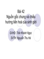 Giáo án điện tử môn sinh học: Sinh học lớp 12- Nguồn gốc chung và chiều hướng tiến hoá của sinh giới pptx