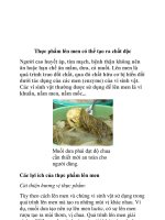 Thực phẩm lên men có thể tạo ra chất độc docx