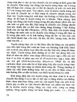 Tuyến trùng ký sinh cây ăn quả và biện pháp phòng trừ part 5 doc