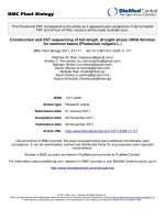 báo cáo khoa học: 