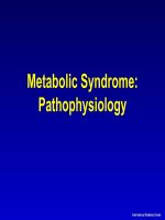 metabolic syndrome pathophysiology