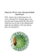 Rượu bia ‘hỗ trợ’ virus viêm gan B thành ung thư gan pptx