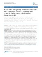 báo cáo khoa học: 